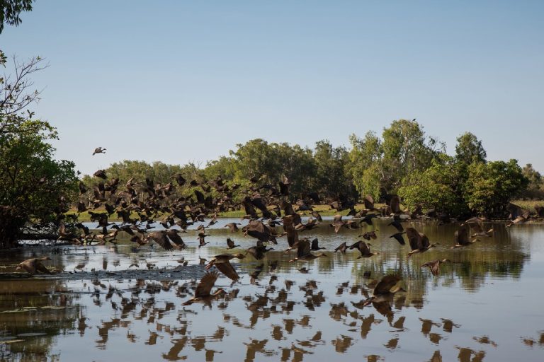 Kelionė į Australiją, pažintinė kelionės į Australiją, Australija, Egzotinės kelionės