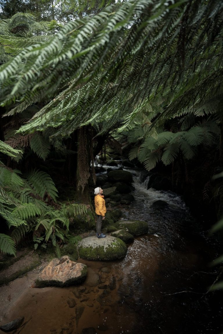 Kelionė į Australiją, pažintinė kelionės į Australiją, Australija, Egzotinės kelionės