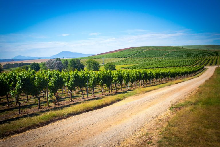 Kelionė į Australiją, pažintinė kelionės į Australiją, Australija, Egzotinės kelionės