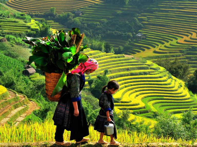 Kelione i Vietnama, pazintine kelione, egzotines keliones