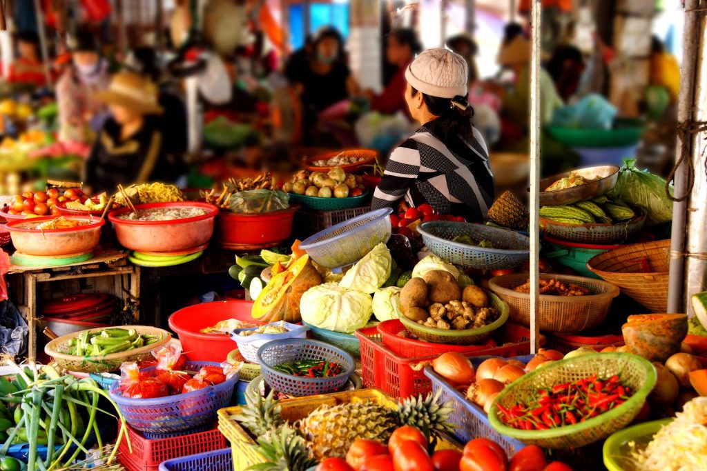 egzotinės kelionės, pažintinės kelionės, kelionė į vietnamą