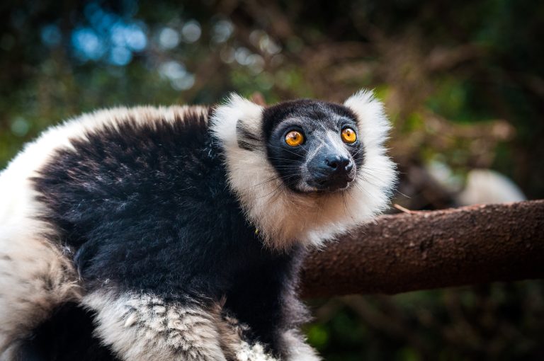 keliones i madagaskara, kelione i madagaskara, egzotines keliones, pazintine kelione