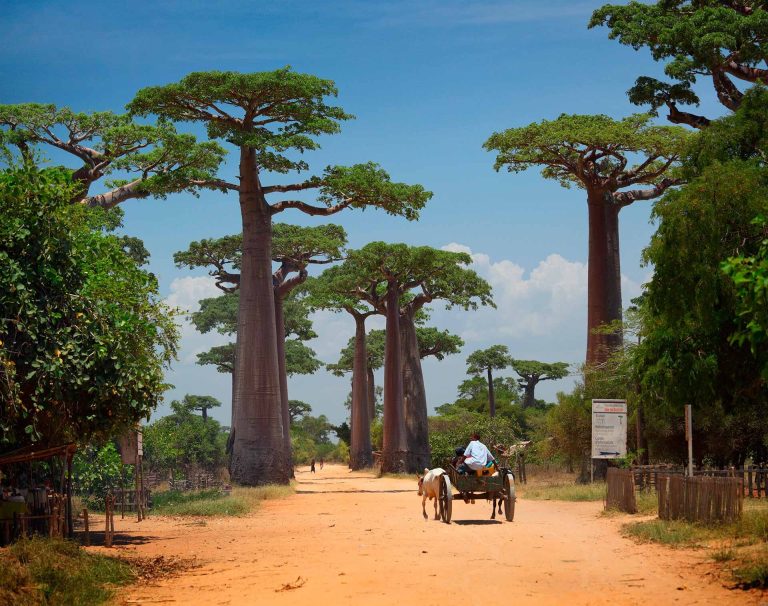 keliones i madagaskara, kelione i madagaskara, egzotines keliones, pazintine kelione