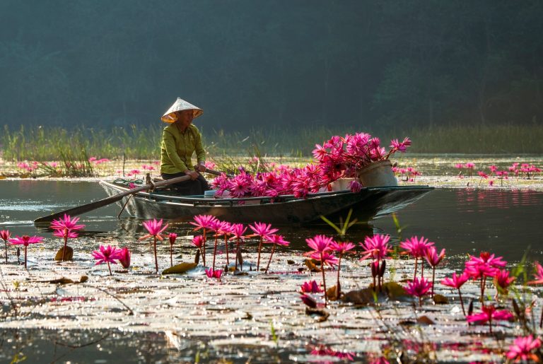 kelione i vietnama, pazintine kelione i vietnama, vietnamas, egzotines keliones, pazintines keliones