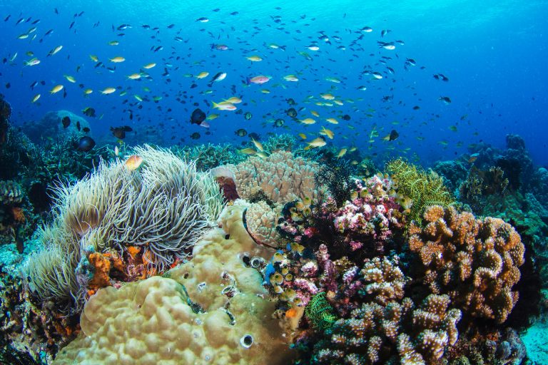 kelione i filipinus, pazintine kelione i filipinus, egzotines keliones