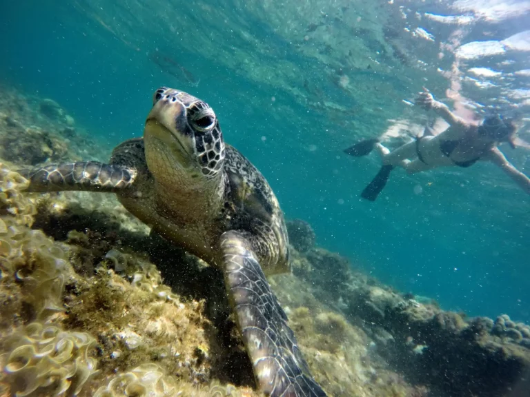 kelione i filipinus, pazintine kelione i filipinus, egzotines keliones
