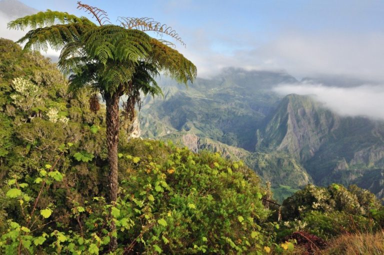 kelione i madagaskara, madagaskaras, egzotines keliones