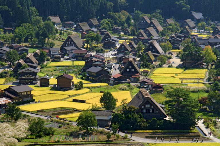 pažintine kelione i japonija, kelione i japonija, egzotines keliones, pazintines keliones, poilsines keliones