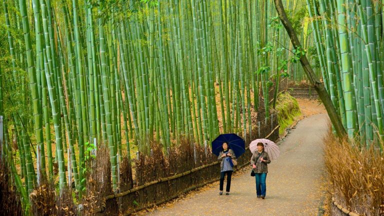 pažintine kelione i japonija, kelione i japonija, egzotines keliones, pazintines keliones, poilsines keliones
